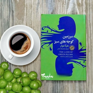 معرفی کتاب ماه: کتاب سرزمین گوجه های  سبز (The Land of Green Plums) 